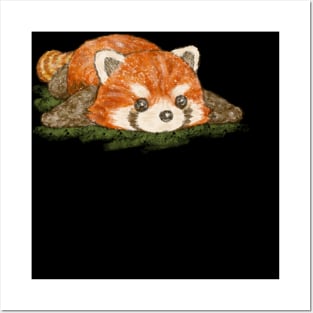 Red panda in prone position Posters and Art